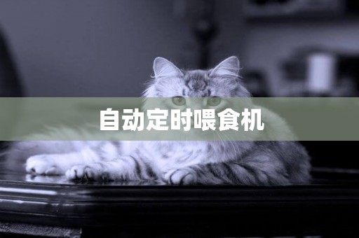 自動定時喂食機