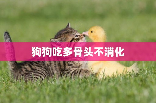 狗狗吃多骨頭不消化