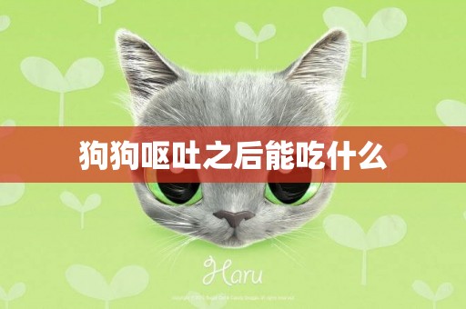 狗狗嘔吐之后能吃什么
