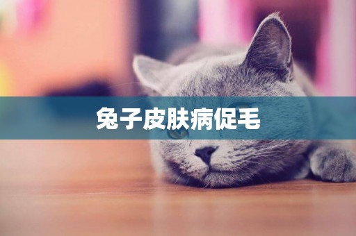 兔子皮膚病促毛