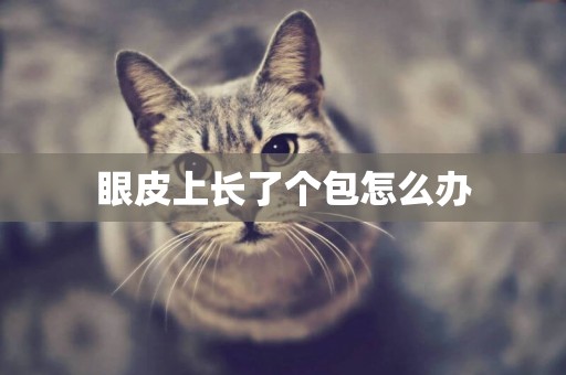 眼皮上長了個包怎么辦