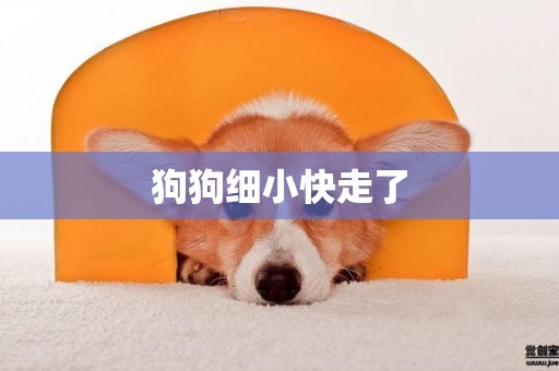 狗狗細小快走了