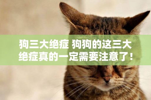 狗三大絕癥 狗狗的這三大絕癥真的一定需要注意了！