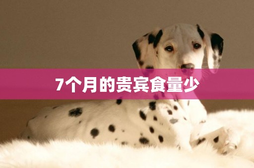 7個月的貴賓食量少