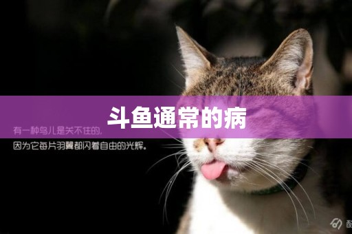 斗魚通常的病