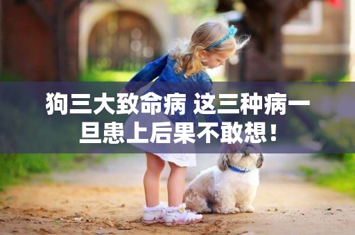 狗三大致命病 這三種病一旦患上后果不敢想！