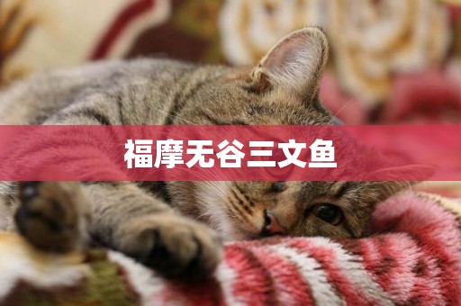 福摩無谷三文魚