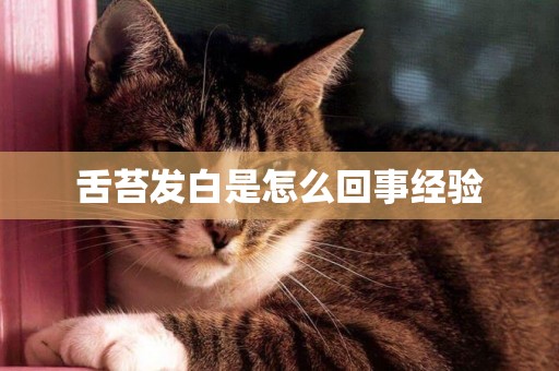 舌苔發白是怎么回事經驗