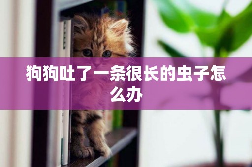 狗狗吐了一條很長的蟲子怎么辦