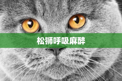 松獅呼吸麻醉