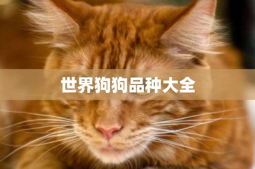 世界狗狗品種大全