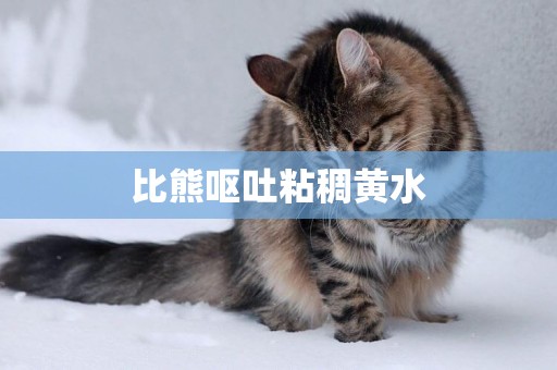 比熊嘔吐粘稠黃水