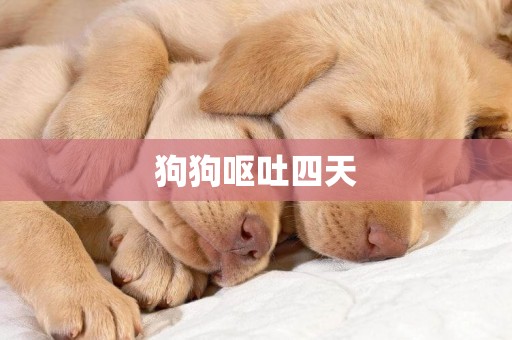 狗狗嘔吐四天