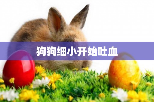 狗狗細小開始吐血