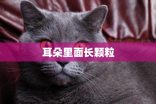 耳朵里面長顆粒