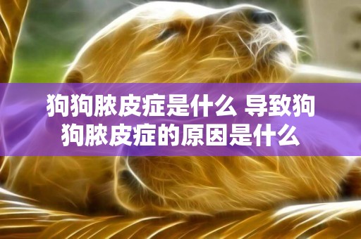 狗狗膿皮癥是什么 導致狗狗膿皮癥的原因是什么 狗狗膿皮癥是什么 導致狗狗膿皮癥的原因是什么