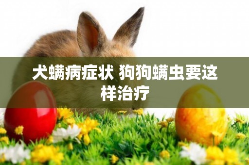 犬螨病癥狀 狗狗螨蟲要這樣治療
