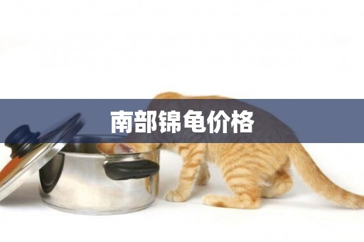 南部錦龜價格