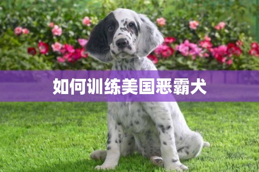 如何訓練美國惡霸犬