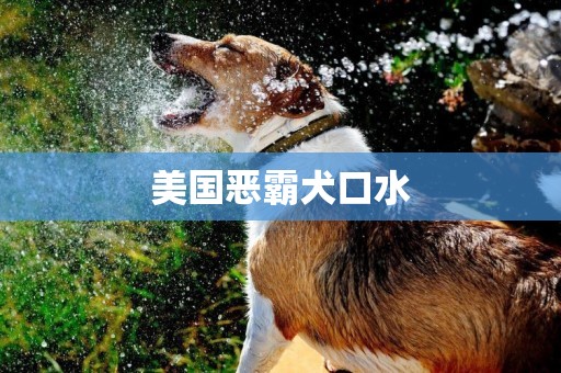美國惡霸犬口水