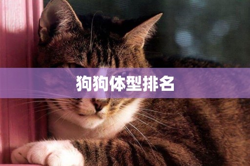 狗狗體型排名