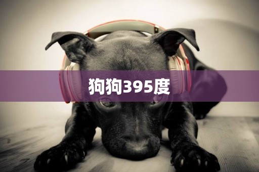 狗狗395度