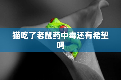 貓吃了老鼠藥中毒還有希望嗎