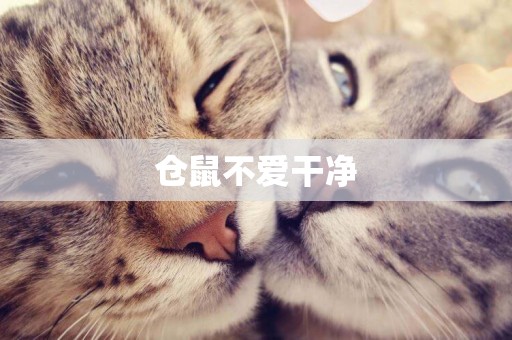 倉鼠不愛干凈