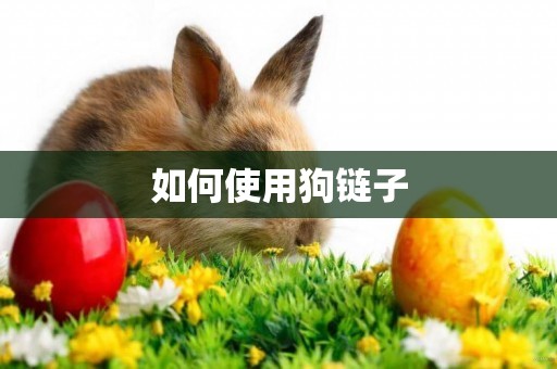如何使用狗鏈子