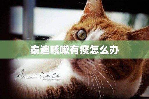 泰迪咳嗽有痰怎么辦