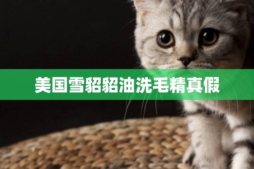 美國雪貂貂油洗毛精真假