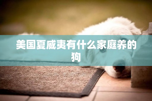 美國夏威夷有什么家庭養的狗