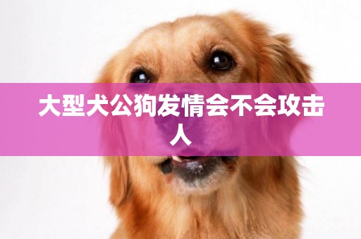 大型犬公狗發情會不會攻擊人