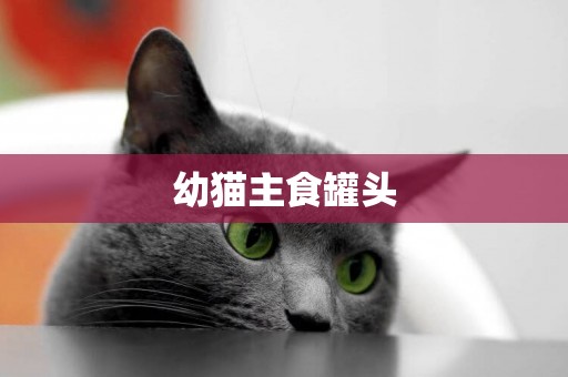 幼貓主食罐頭