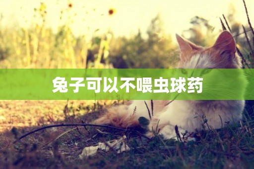 兔子可以不喂蟲球藥