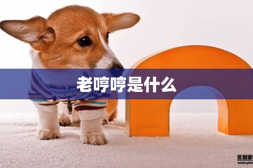老哼哼是什么
