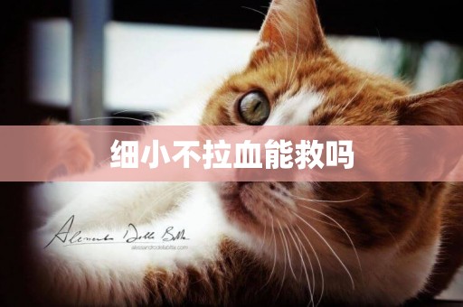 細小不拉血能救嗎