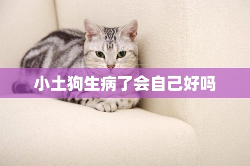 小土狗生病了會自己好嗎