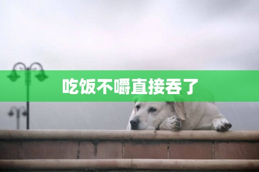 吃飯不嚼直接吞了