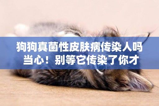 狗狗真菌性皮膚病傳染人嗎 當心！別等它傳染了你才意識到