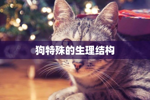 狗特殊的生理結構