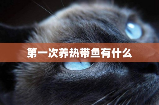 第一次養熱帶魚有什么