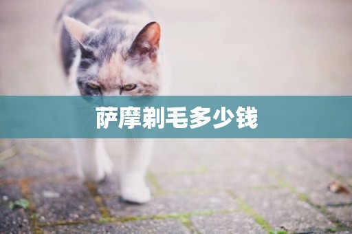 薩摩剃毛多少錢