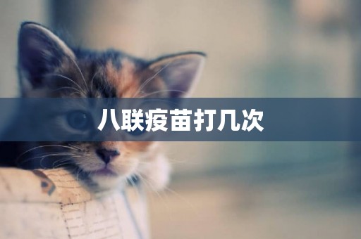 八聯疫苗打幾次