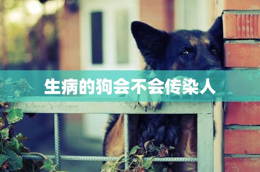 生病的狗會不會傳染人