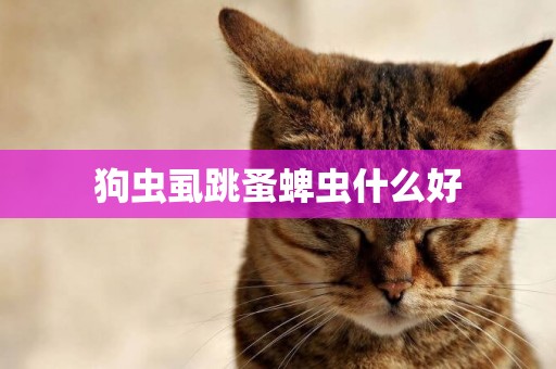 狗蟲虱跳蚤蜱蟲什么好