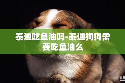 泰迪吃魚油嗎-泰迪狗狗需要吃魚油么