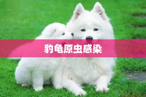 豹龜原蟲感染