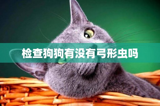 檢查狗狗有沒有弓形蟲嗎