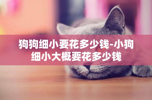 狗狗細小要花多少錢-小狗細小大概要花多少錢
